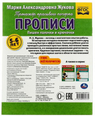 Рабочая тетрадь дошкольника с прописями «Пишем палочки и крючочки» - Фото 1