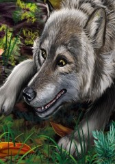 Милые зверята. Ёжик - Фото 1