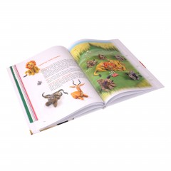 Секреты пластилина - Фото 2