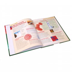 Микромир. Детская энциклопедия - Фото 3