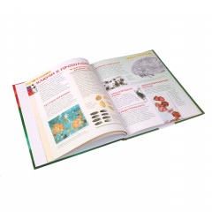 Микромир. Детская энциклопедия - Фото 2