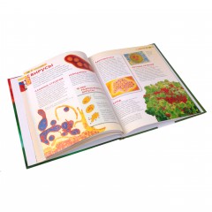 Микромир. Детская энциклопедия - Фото 1