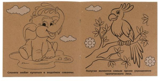 Дикие животные. Эко Раскраска
