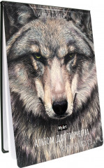Альбом для творчества «Волк» - Фото 1