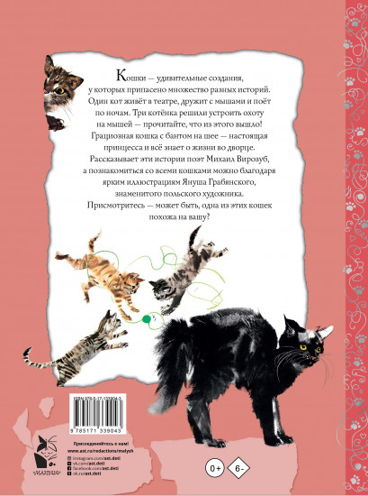 Удивительные кошачьи истории