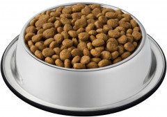 Корм сухой для кошек с домашней птицей - Фото 2