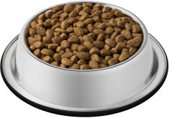 Корм сухой для кошек с домашней птицей и индейкой - Фото 2