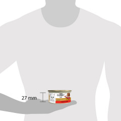 Корм для кошек «Нежные биточки с говядиной и томатами» - Фото 4