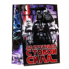 Пакет «Да прибудет с тобой сила», 23х27 см + мини-открытка - Фото 3