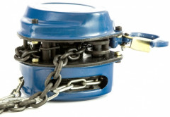 Таль цепная - Фото 2