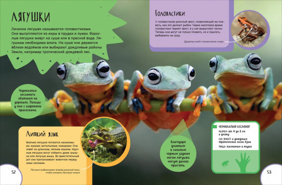 Животные. Лучшая детская энциклопедия