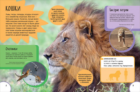 Животные. Лучшая детская энциклопедия