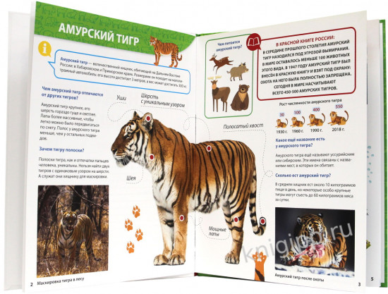 Первая энциклопедия. Все о теле Красной книге