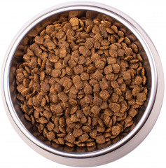 Корм диетический для кошек при болезнях печени - Фото 1