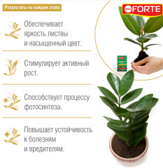 Удобрение для декоративно-лиственных - Фото 1