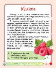 Рассказы-минутки. Чудесные истории о фруктах и овощах - Фото 1