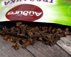 Гвоздика - Фото 2