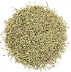 Розмарин - Фото 1