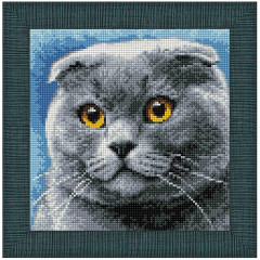 Картина стразами «Шотландец» - Фото 1