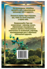 Новое руководство по картам Таро - Фото 1