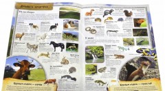 МегаZOOпанорама. Горы - Фото 3