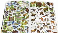 МегаZOOпанорама. Горы - Фото 2