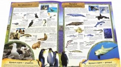 МегаZOOпанорама. Океан - Фото 3