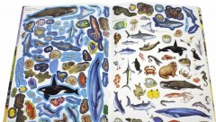 МегаZOOпанорама. Океан - Фото 2