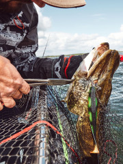 Экстрактор усиленный - Фото 4