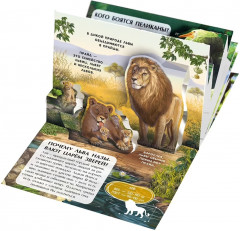 Коллекция карманных Pop-Up энциклопедий - Фото 7