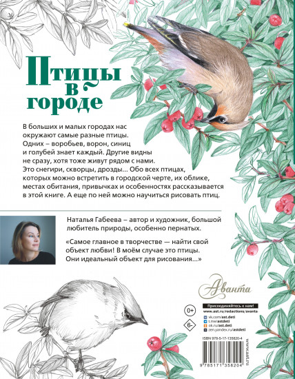 Птицы в городе