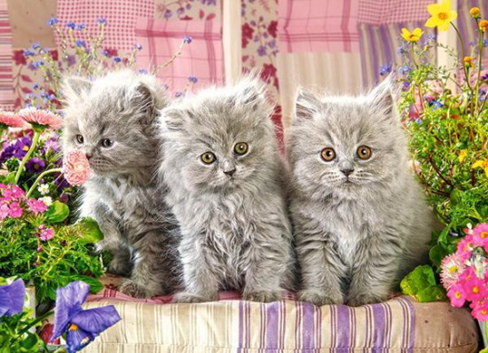 Пазл «Три котенка»