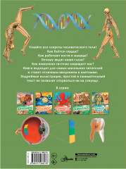 Тело человека - Фото 1