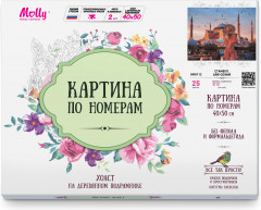 Картина по номерам «Стамбул. Айя-София» - Фото 1