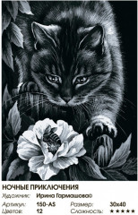 Картина по номерам «Ночные приключения» - Фото 2