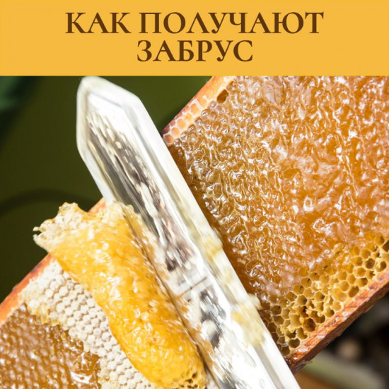 Забрус