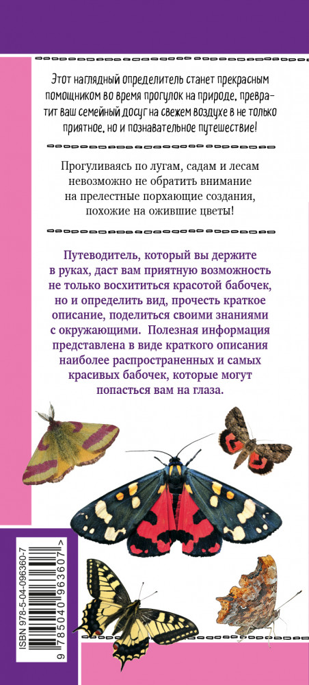 Бабочки. Наглядный карманный определитель | Природа в кармане | Фото 1