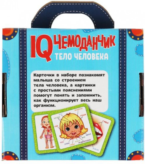 Карточки развивающие «Тело человека»