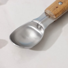 Ложка для мороженого - Фото 1