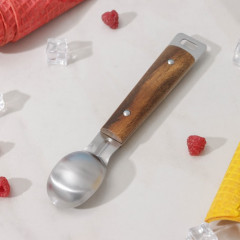 Ложка для мороженого - Фото 2