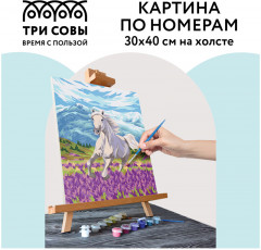 Картина по номерам «Свобода» - Фото 1