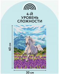 Картина по номерам «Свобода» - Фото 4