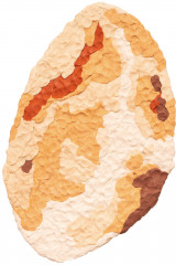 Пластилин - Фото 6