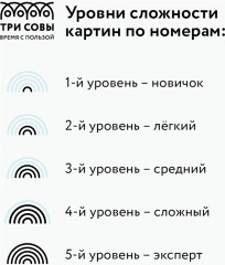 Картина по номерам «Солнечный натюрморт» - Фото 4