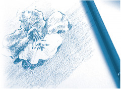 Скетчбук «Dessin a grain» - Фото 6