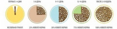 Корм для стерилизованных кошек с курицей - Фото 4