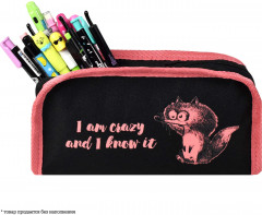 Пенал школьный «Крэйзи белка» - Фото 3