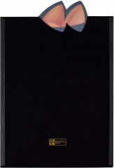 Папка для тетрадей - Фото 3