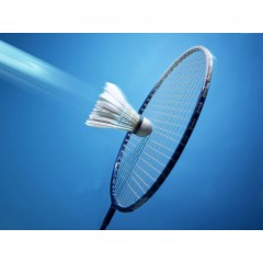 Волан перо 102, набор 6 штук, цвет белый, в тубе - Фото 1