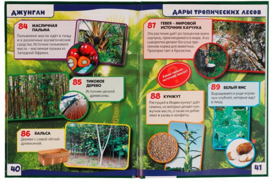 Энциклопедия «Джунгли»